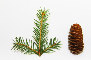 christmas tree on a white background, tree and cones, toys, balls