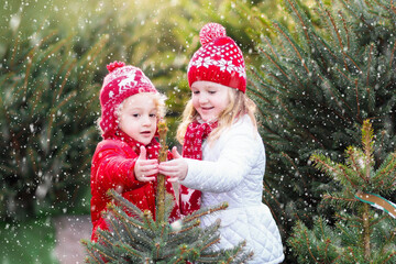 Kids buying Christmas tree