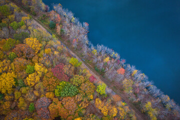 Foliage in Plainsboro New Jersey 