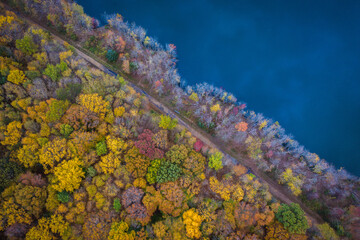 Foliage in Plainsboro New Jersey 