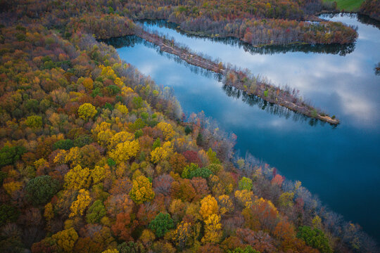 Foliage in Plainsboro New Jersey 