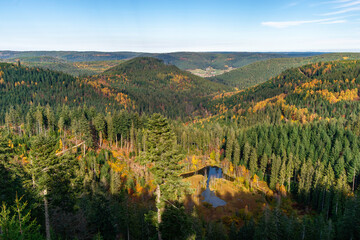 Aussicht auf den Ellbachsee, Schwarzwald, vom Ellbachseeblick aus