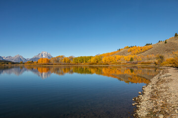 Scenic Autumn Landscape Reflection in the Tetons