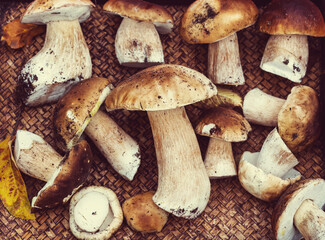 Mushrooms