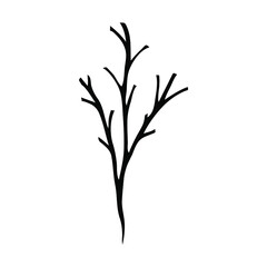 Sketch of a black branch. Vector isolated element for design.
