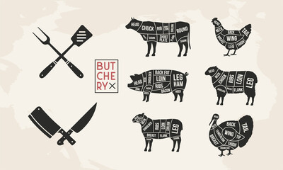Butcher's guide set. Pig, Lamb, Cow, Chicken, Turkey silhouette cuts. BBQ utensils. Meat diagram. Cuts of Meat. Vector illustration