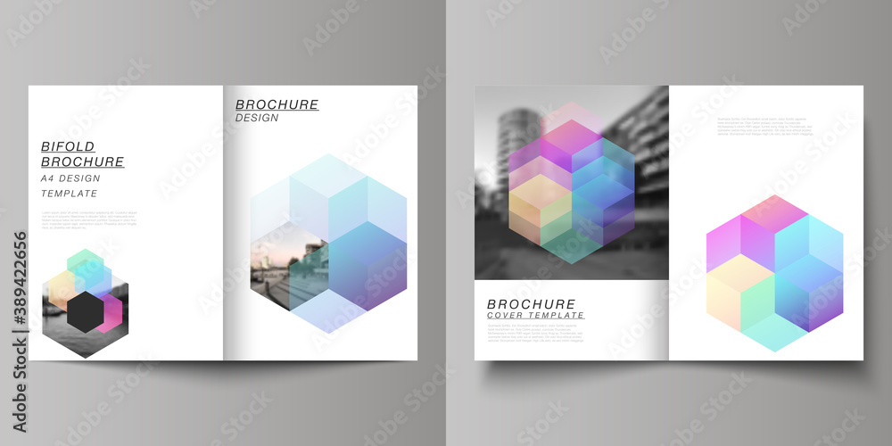 Poster vector layout of two a4 format cover mockups design templates with colorful hexagons, geometric shap