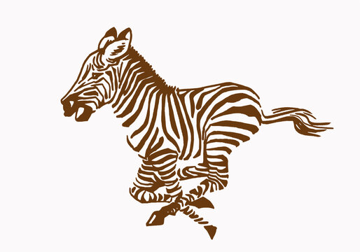 Vector sepia illustration of zebra running, graphical drawing 