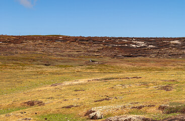 Volunteer Beach, Falkland Islands, UK - December 15, 2008: Wide yellow-brown landscape under blue...
