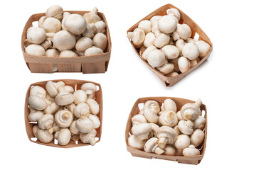 Champignon mushroom isolated on white background.