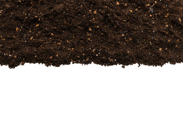 Black land for plant.