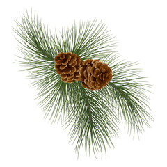 Wide Christmas garland from fir branches. Garland/wreath of pine branches with cones. Great for flyers, posters, headers