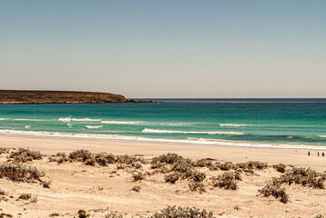 Volunteer Beach, Falkland Islands, UK - December 15, 2008: Wide shot of the scenery holding...