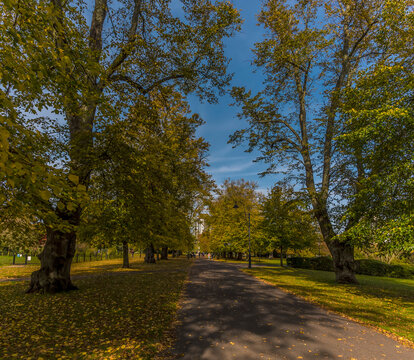 A view across Palmerston Park in Southampton, UK in Autumn