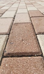 paving stone texture