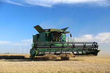 Fototapeta premium Modern combine harvester working in agricultural field