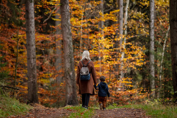 Fototapeta premium mother and son walk through the forest in autumn