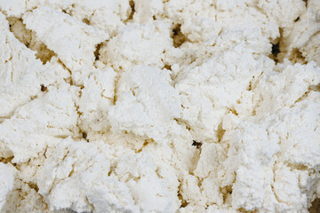 White curd cottage cheese texture, dairy production, automatic conveyor line top view