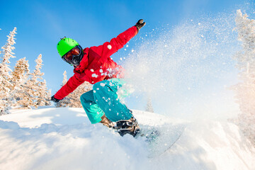 Action snowboarder on snowboard rides on fresh snow in forest, dust explosion. Freeride in Alps Ski...