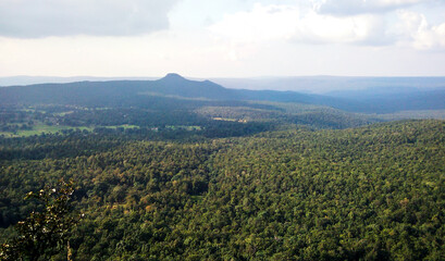 Fototapeta premium landscape in the morning with foggy weather conditions, nature photography