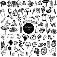 
Sketchy Hand Drawn Doodle Set of Autumn Theme Items and Symbols