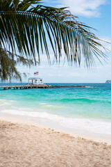 Beach on the Maithon island.  Palm tree on paradise beach.