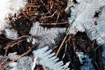 Ice with beautiful texture on dry grass, natural organic background, top view