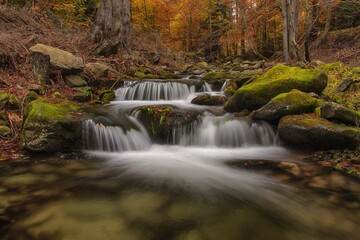 Obraz na płótnie Canvas Waterfall in autumn forest