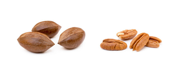 Fresh pecan nuts isolated on a white background
