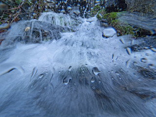 in the mountain stream, Im Bergbach