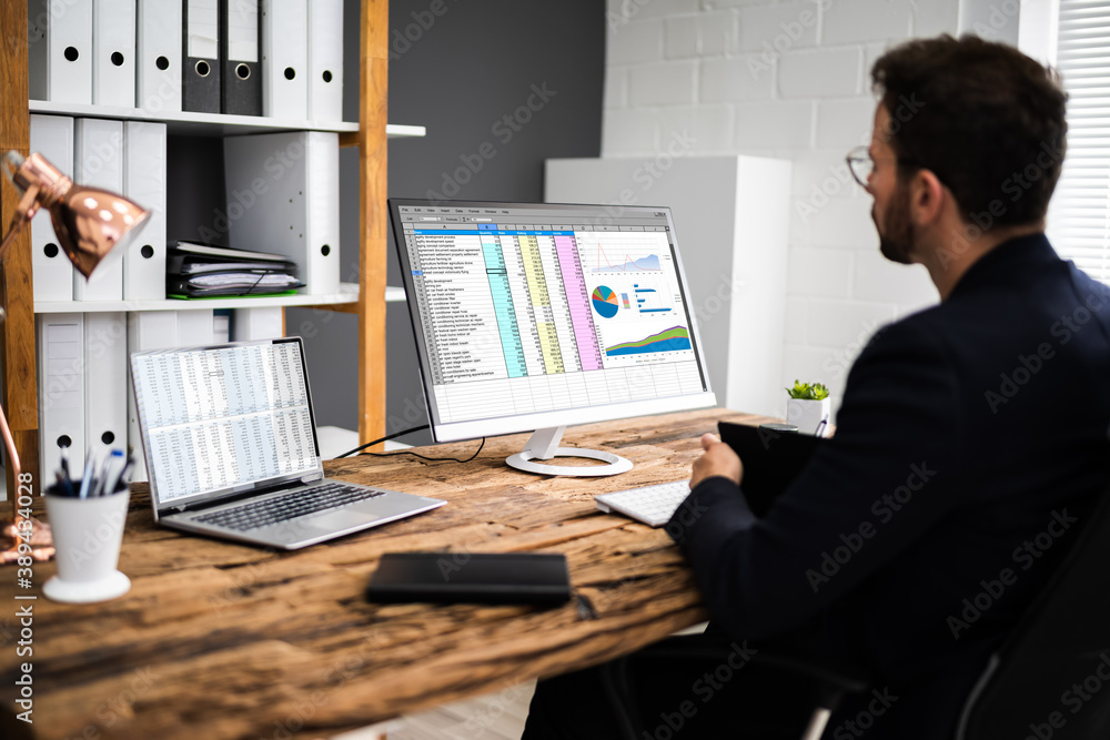 Poster analyst employee using spreadsheet