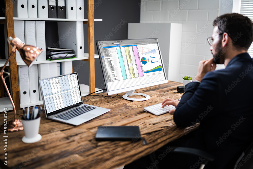 Poster analyst employee using spreadsheet