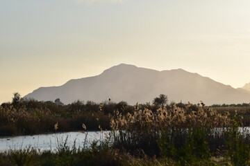 Atardecer en la Vega Baja