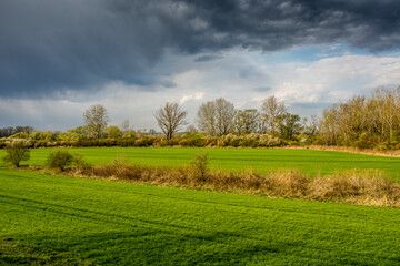 Fototapeta premium pola, krajobraz, droga, niebo, zieleń, lato, rolnictwa, blękit, kraj, horyzont, chmura, kraina, droga, chmura, farma, roślin, nasłoneczniony