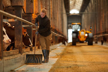 Full length portrait of young woman cleaning cow shed while working at farm or family ranch, copy...