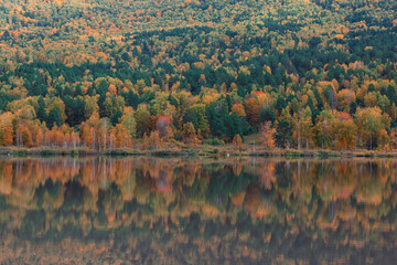 Autumn reflections of the Manjerokskoe lake, , Altai Republic, Russia