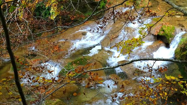 River and tree with leaves in autumn. Urederra river source. Urbasa-Andia Natural Park. Navarre, Spain, Europe. 4K.