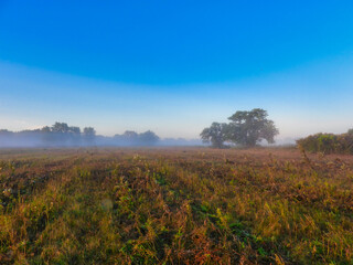 Obraz premium Recently Mowed Prairie at Morning Sunrise with Blue Clear Sky with a Touch of Pink with Some Mist Fog in Landscape Scenic View