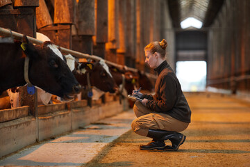 Side view portrait of young woman inspecting livestock and writing on clipboard while working at...