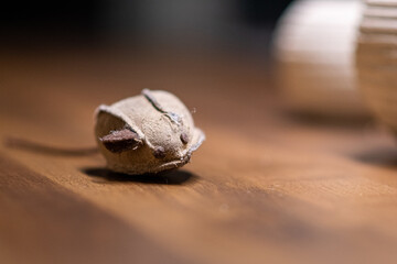 Cat toy