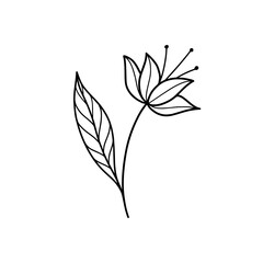 Vector illustration of hand drawn magic Flower isolated on white background. Line art beautiful Flower for crafters and designers. Good for print, cut, t-shirt design, mugs, card.