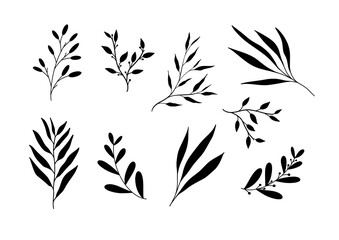 Vector set of hand drawn leaves and branches silhouettes isolated on white background. Collection of leaves for modern designs, overlay, postcards, social media posts. Good for print, cut, card design