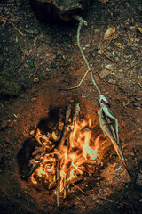 Trout cooked over a wood fire in the forest