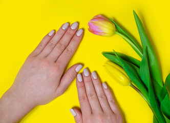 Female manicure on a bright background. Yellow