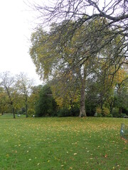 Park Montsouris under Lockdown / Paris, france