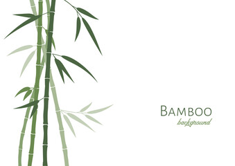 Vector bamboo background with green bamboo stems and leaves. Isolated on white, place for text, copyspace. Oriental art Sumi-e stylization.