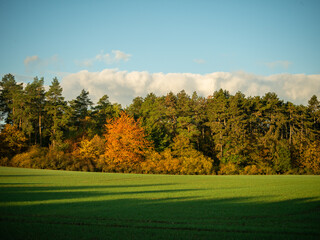 Fototapeta premium Landschaft im Herbst