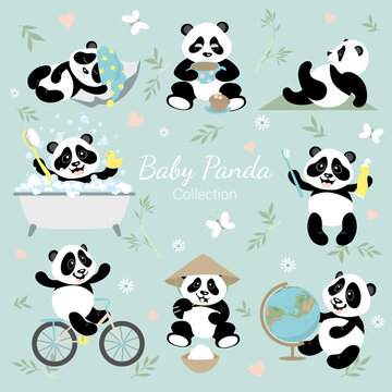 Baby panda collection. A set with little funny pandas. The panda studies, rides a bike, brushes his teeth, sleeps, bathes, drinks coffee, eats, and does exercises. Illustration for children.
