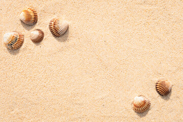 Arrière-plan grains de sable de mer, sable fin de plage et coquillages.	