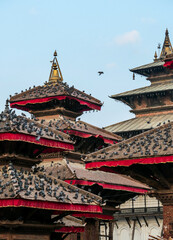 Obraz premium The rooftops of Durbar Square in Kathmandu, Nepal. There are plenty of pigeons flying around, and sitting on the rooftops. Each rooftop is ornated with red and golden ribbon. UNESCO heritage list.